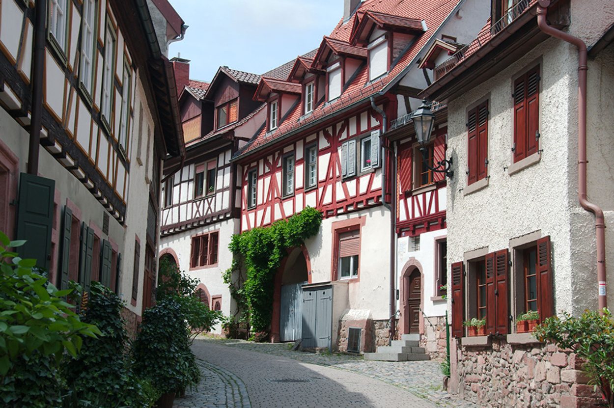 Altbau­sanierung bei Elektro Melk in Sinntal - Sterbfritz